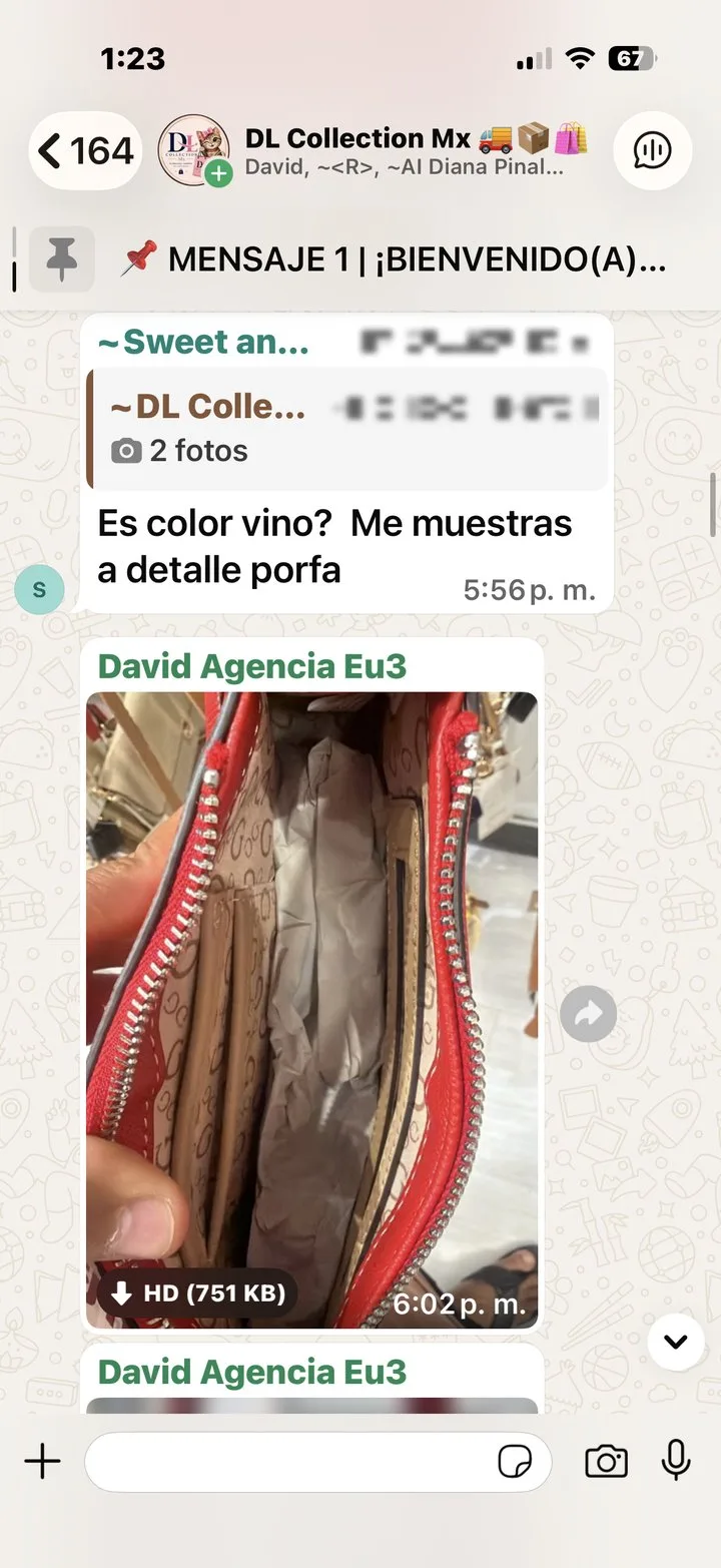 Captura real del grupo de WhatsApp de DL Collection Mx: producto mostrado a detalle a una clienta